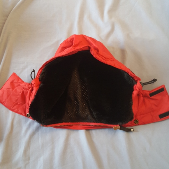 American Eagle Outfitters Winter Coat - Picture 4 of 16